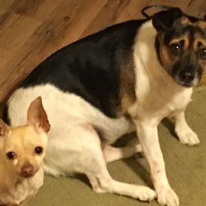 Meet your Posher, Suzy